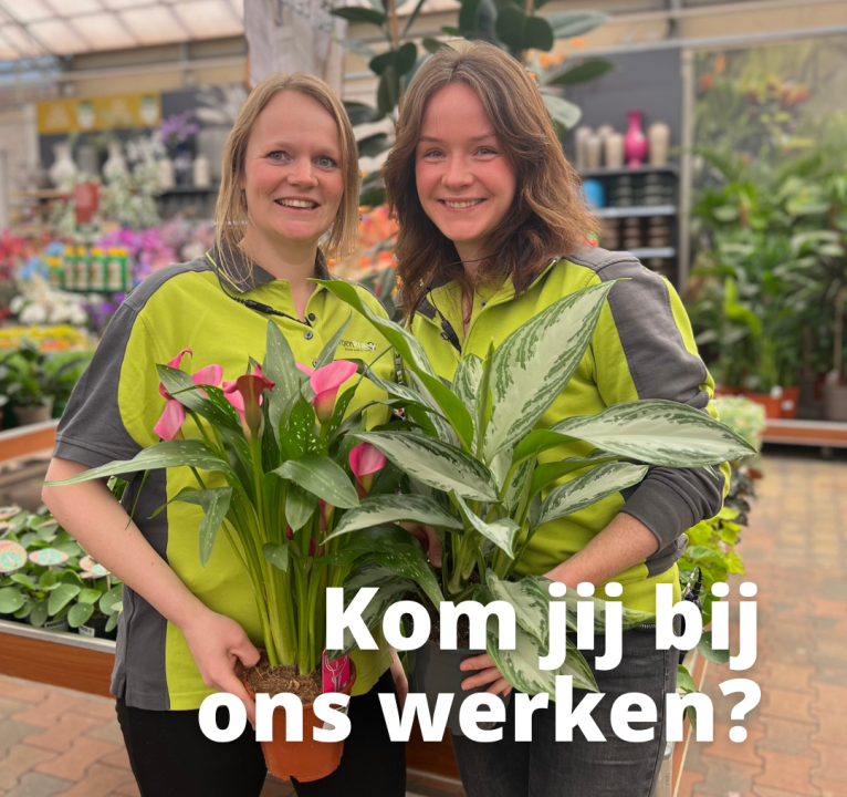 Vacatures GroenRijk Maasbree