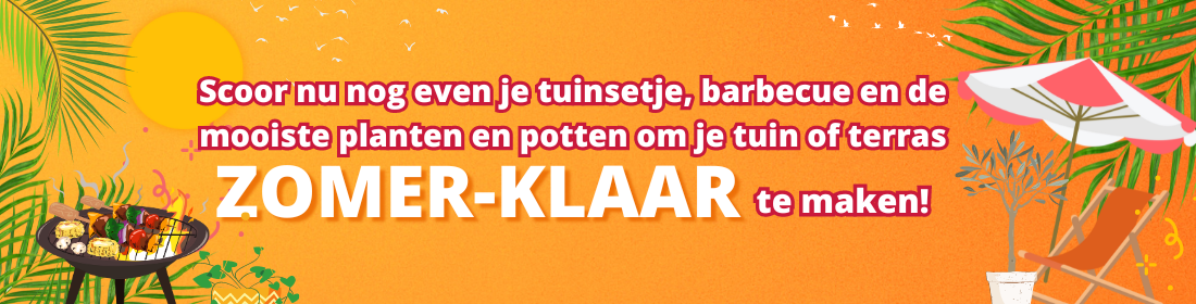Zomersale op de parkeerplaats bij Groenrijk Maasbree