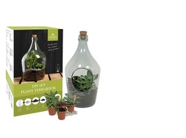 Plant Terrarium DIY